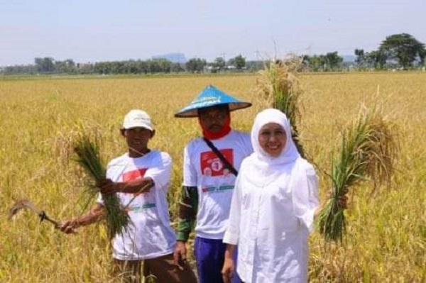 Gubernur Jatim: Khofifah Indar Parawansa