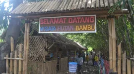 Wisata Hutan Bambu