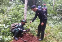 Relawan Peduli Hutan di Salem Brebes 