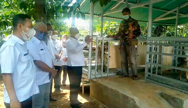 Walikota Bekasi Dr. H. Rahmat Effendi Kunjungi Perternak Kambing