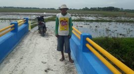 Polemik Jembatan Ditengah Sawah