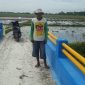 Polemik Jembatan Ditengah Sawah