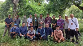 Kementan Siap Kembangkan Kampung Lengkeng