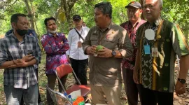 Direktur Jenderal Hortikultura Kementan, Prihasto Setyanto 