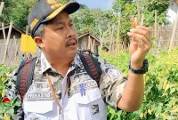 Direktur Jenderal Hortikultura: Prihasto Setyanto 