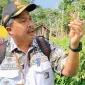 Direktur Jenderal Hortikultura: Prihasto Setyanto 