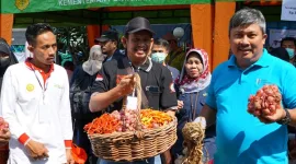 Kementan Gelar Bawang Merah dan Cabai Murah