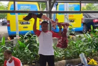 Kejati DKI Jakarta Potong Hewan Kurban