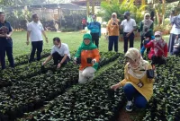 Kementan Bagikan Benih Cabai untuk Masyarakat Jakarta