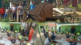 Lokasi Pemotongan di Halaman Masjid Abubakar Asidiq