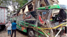 Bus Pariwisata Trans Putera Fajar  