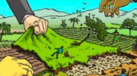 Ilustrasi Praktik Mafia Tanah