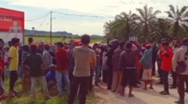 Masyarakat Petani Pasangkayu Sulbar