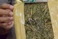 Ilustrasi Paket Ganja