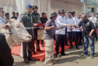 Foto: Jaksa Agung ST. Burhanuddin Serahkan Hewan Kurban ke Ketua Forwaka
