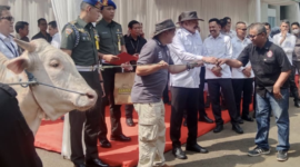 Foto: Jaksa Agung ST. Burhanuddin Serahkan Hewan Kurban ke Ketua Forwaka