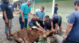 Kejaksaan Negeri Jakarta Pusat