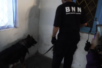 BNNP Jateng Bersama BNNK Gelar Operasi Narkotika