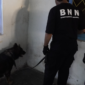 BNNP Jateng Bersama BNNK Gelar Operasi Narkotika