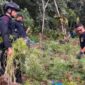 Lokasi Ladang Ganja