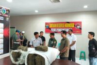 2 Karung Ganja Ditemukan di Kampus USI Sumut