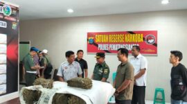 2 Karung Ganja Ditemukan di Kampus USI Sumut