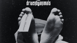 DRIVEN BY ANIMALS
