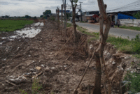 Jalan Raya Pulo Timaha, Babelan Kota, Kabupaten Bekasi