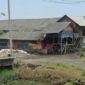 Photo: Lokasi Kandang Ayam Keluhan Warga