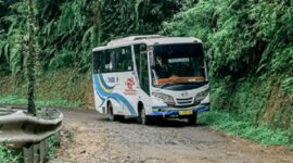 Armada Bus DAMRI