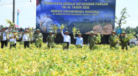 Panen Raya Kedelai di Nganjuk