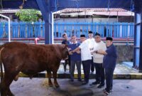 Kemnaker Himpun 93 Ekor Hewan Kurban Pada Perayaan Idul Adha 1447 Hijriah. 