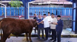 Kemnaker Himpun 93 Ekor Hewan Kurban Pada Perayaan Idul Adha 1447 Hijriah. 