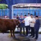 Kemnaker Himpun 93 Ekor Hewan Kurban Pada Perayaan Idul Adha 1447 Hijriah. 