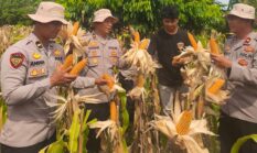 berita-pilihan-foto