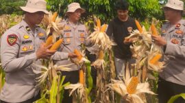 Photo: Kapolres Karawang, AKBP Fiki N. Ardiansyah  Bersama Kelompok Tani
