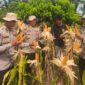 Photo: Kapolres Karawang, AKBP Fiki N. Ardiansyah  Bersama Kelompok Tani