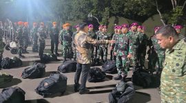 TNI Kerahkan Satgas Khusus Penanganan Karhutla di Riau