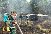 Photo: Satgas Darat Lanud Sjamsudin Noor 