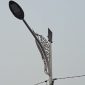 Photo: Lampu PJU di Jalan Raya Perjuangan  Kebalen.